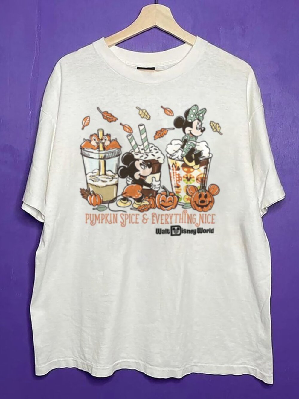 Vintage Small Disney Parks 2025 Pumpkin Spice & Everything Nice Men Women Shirt